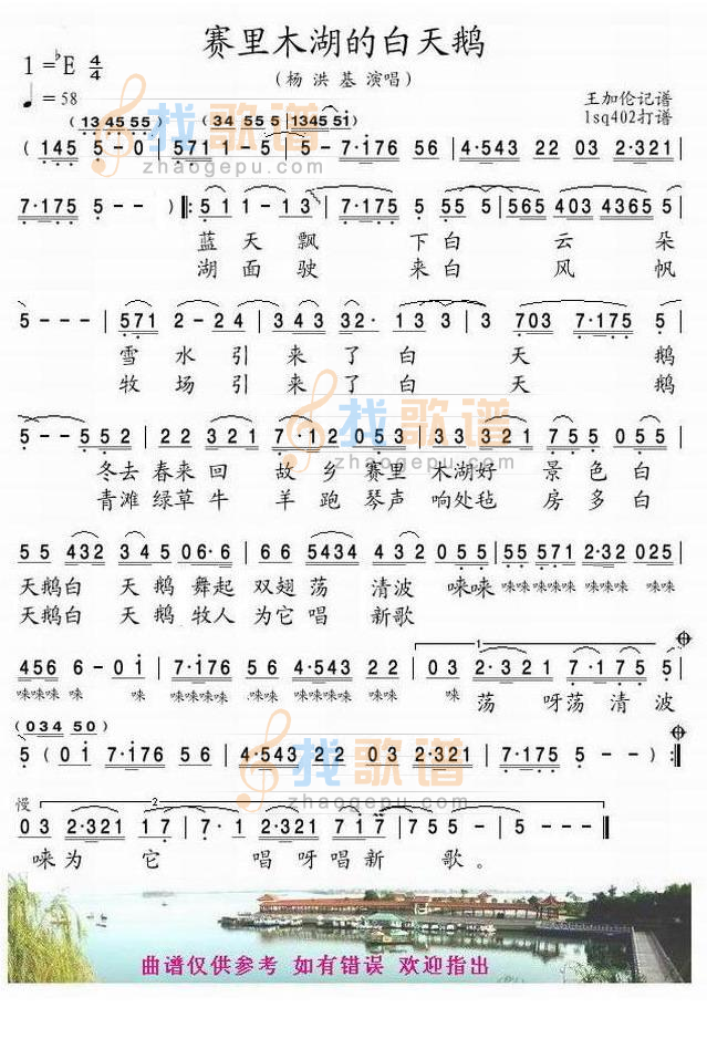 赛里木湖的白天鹅