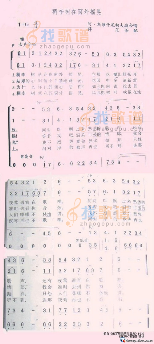 稠李树在窗外摇晃