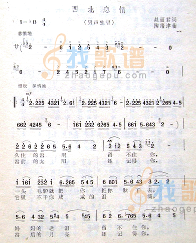 西北恋情