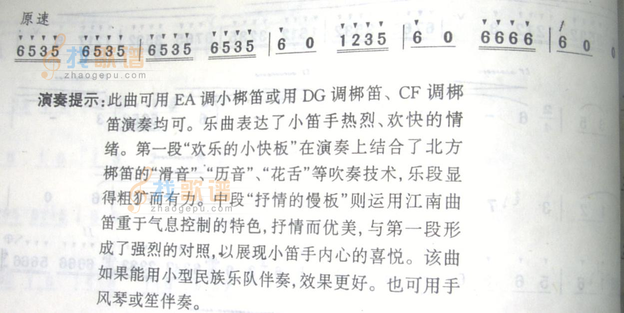 快乐的小笛手