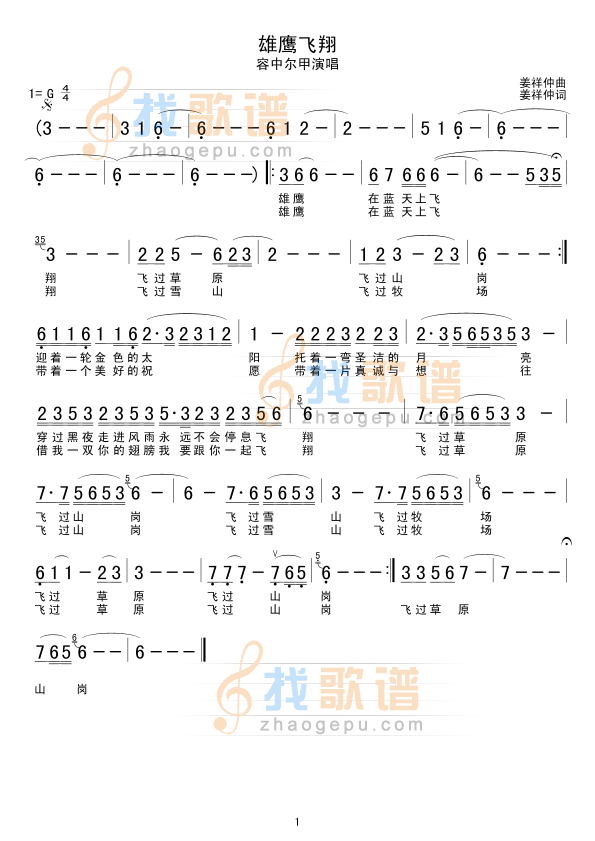 雄鹰飞翔