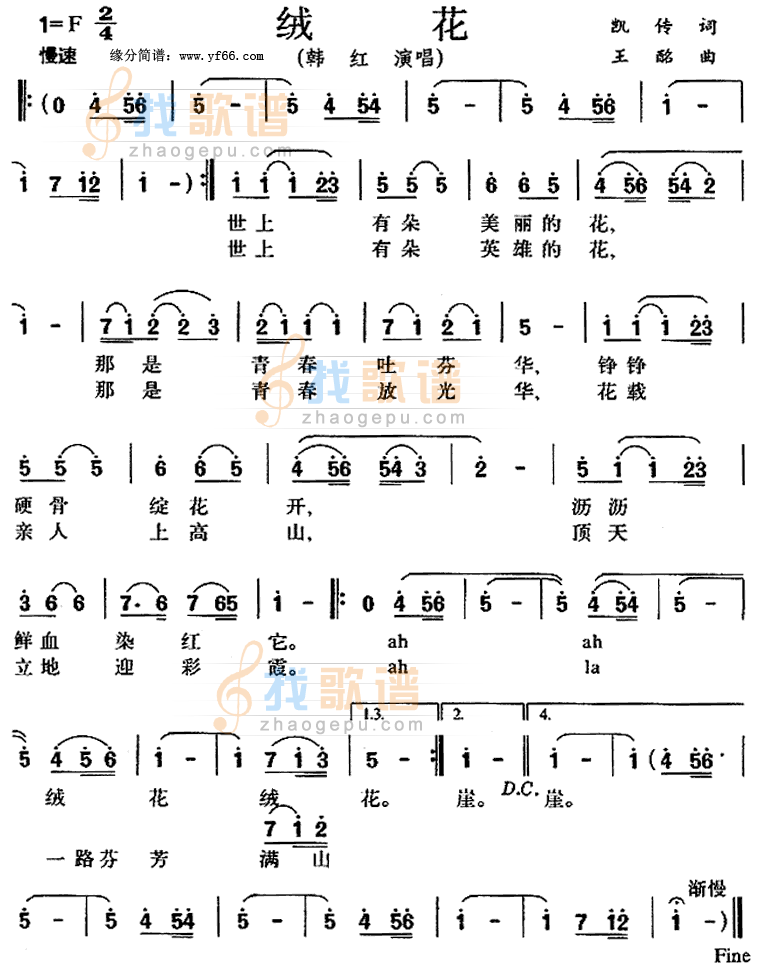 绒花小花插曲