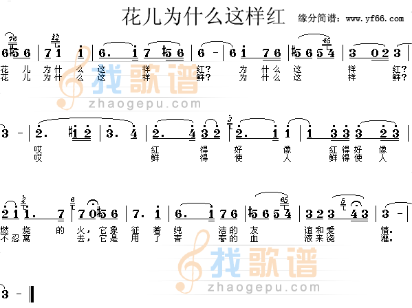 花儿为什么这样红