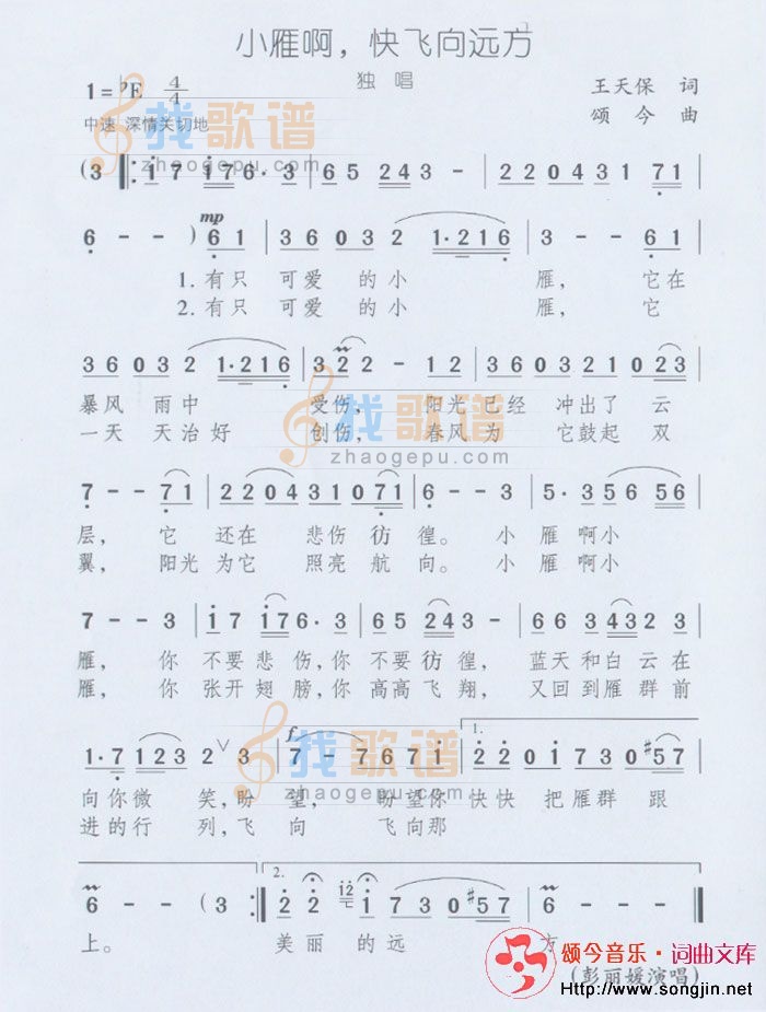 小雁啊快飞向远方