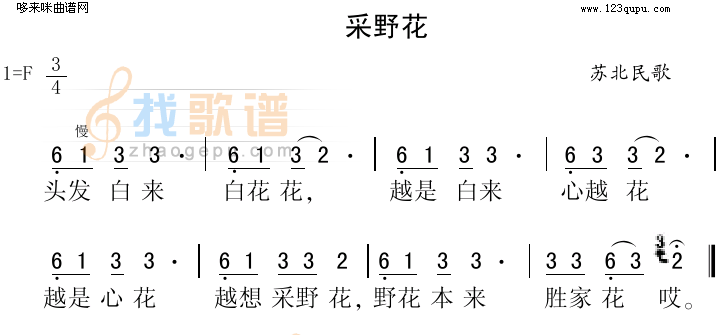 采野花（苏北民歌）
