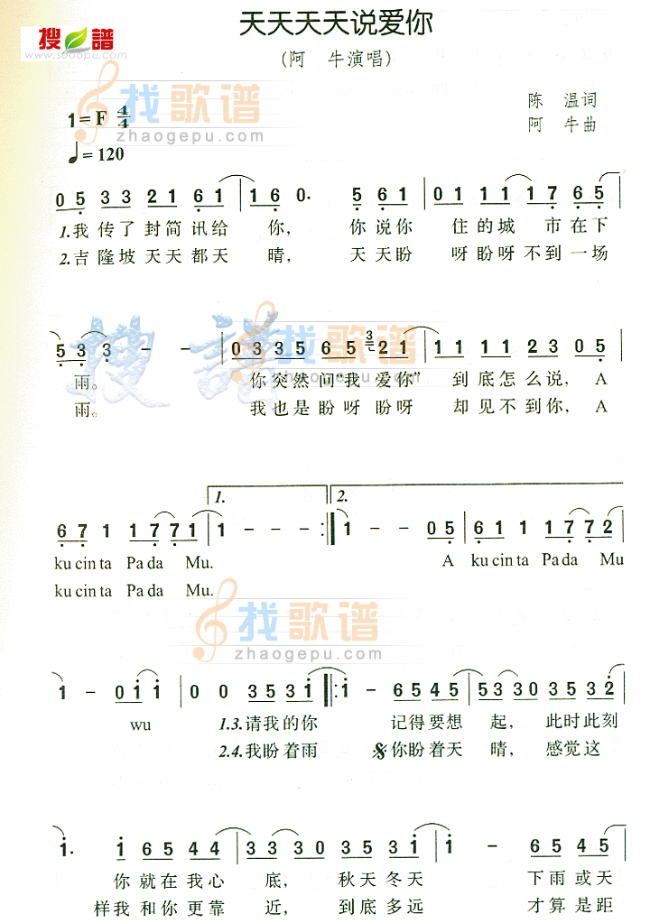 天天说爱你