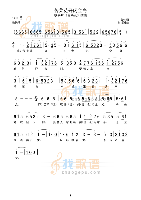 苦菜花开闪金光