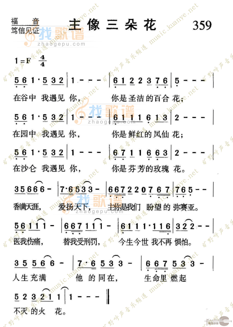 359主像三朵花