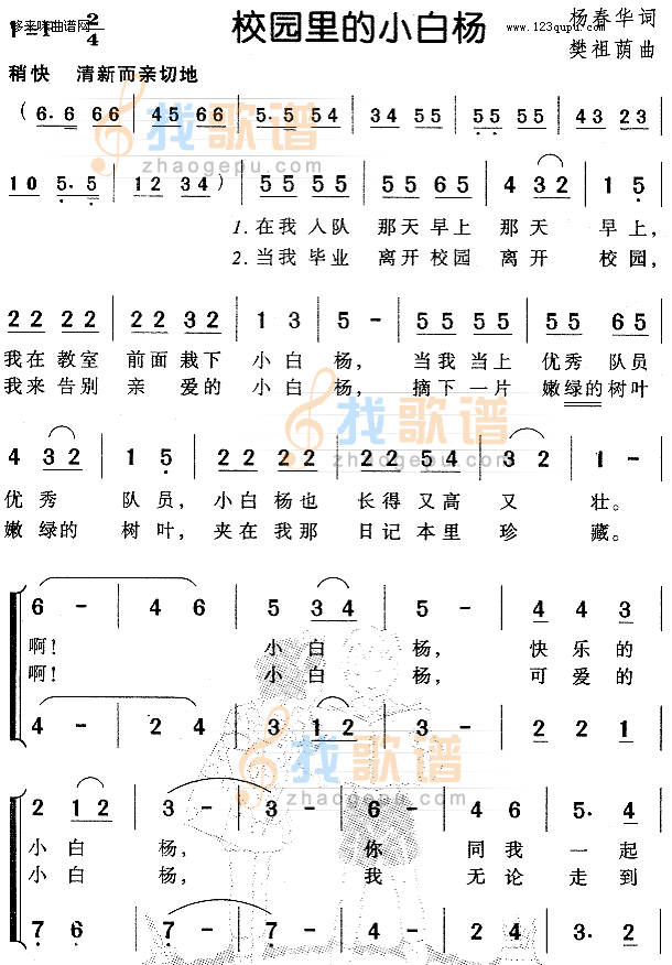 校园里的小白杨