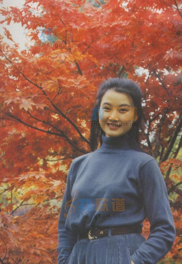 渔歌