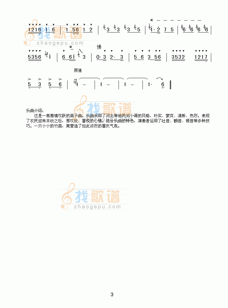喜庆(笛子独奏)