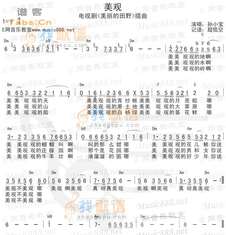 美观