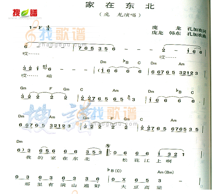 家在东北