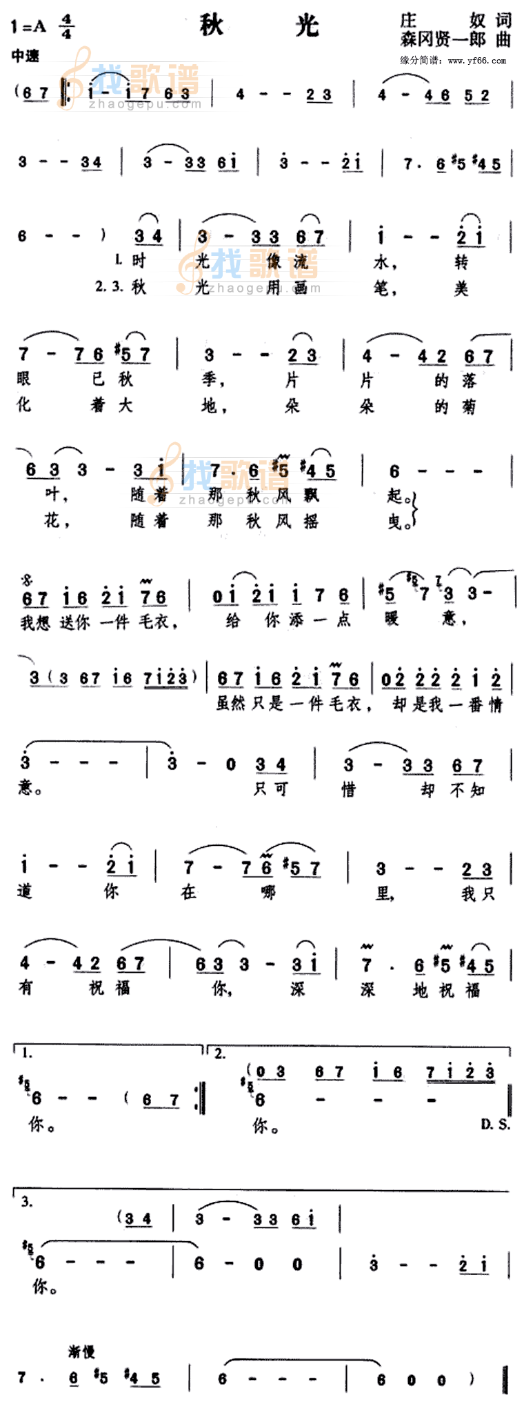 秋光