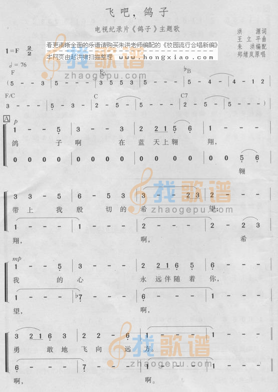 飞吧,鸽子