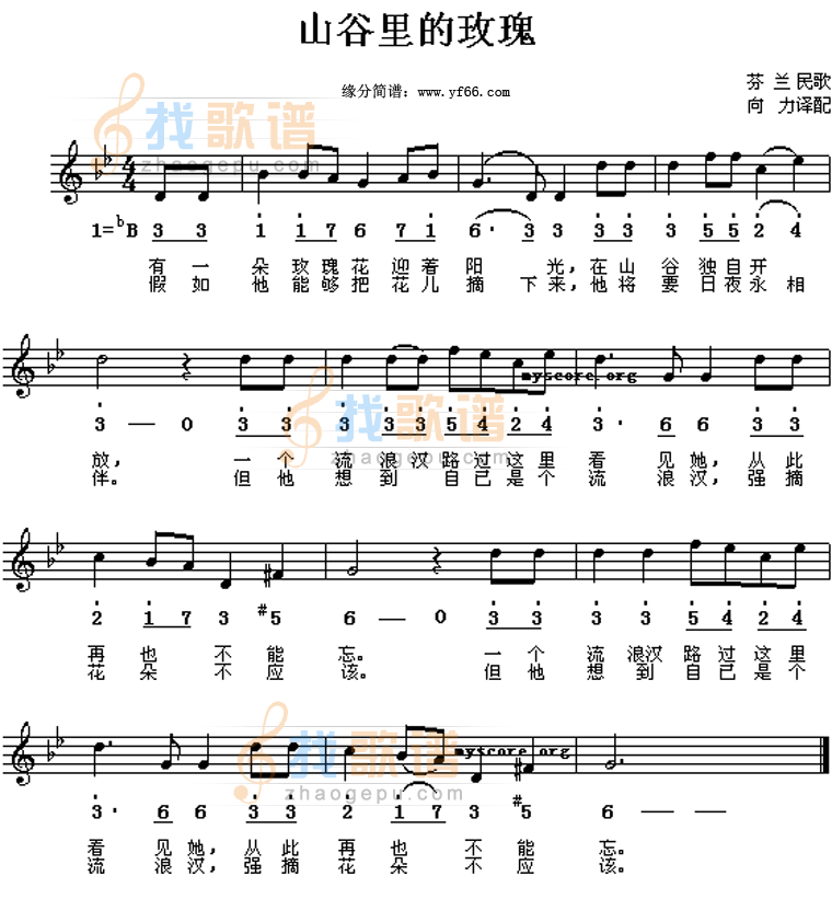 山谷的玫瑰