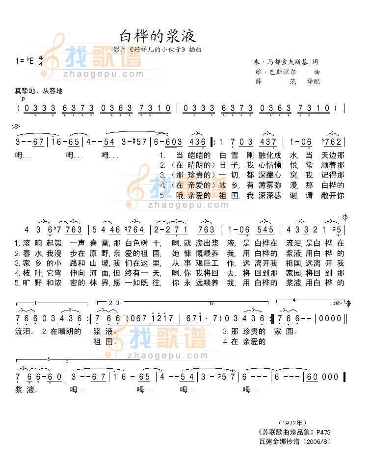 白桦的浆液