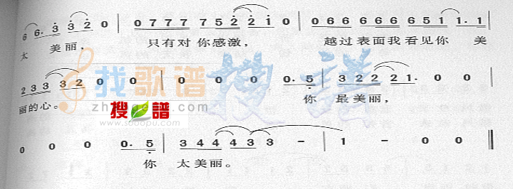 太美丽