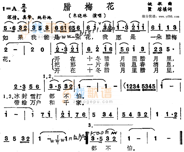 腊梅花