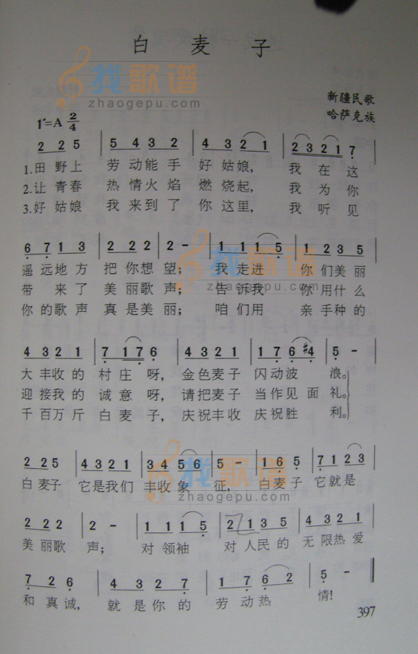 白麦子