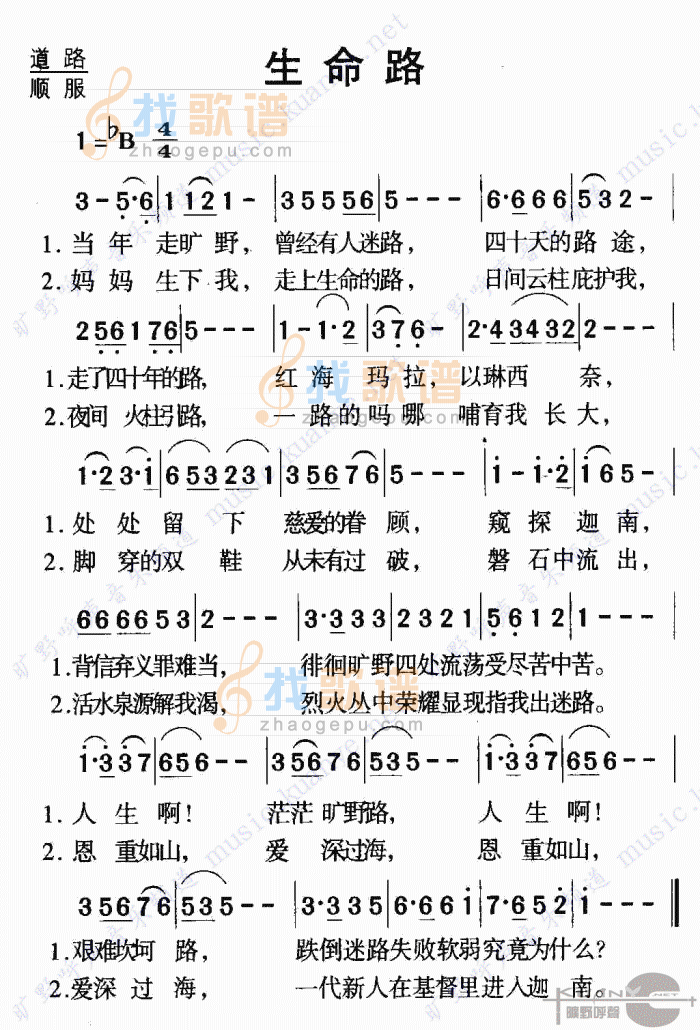 生命的路