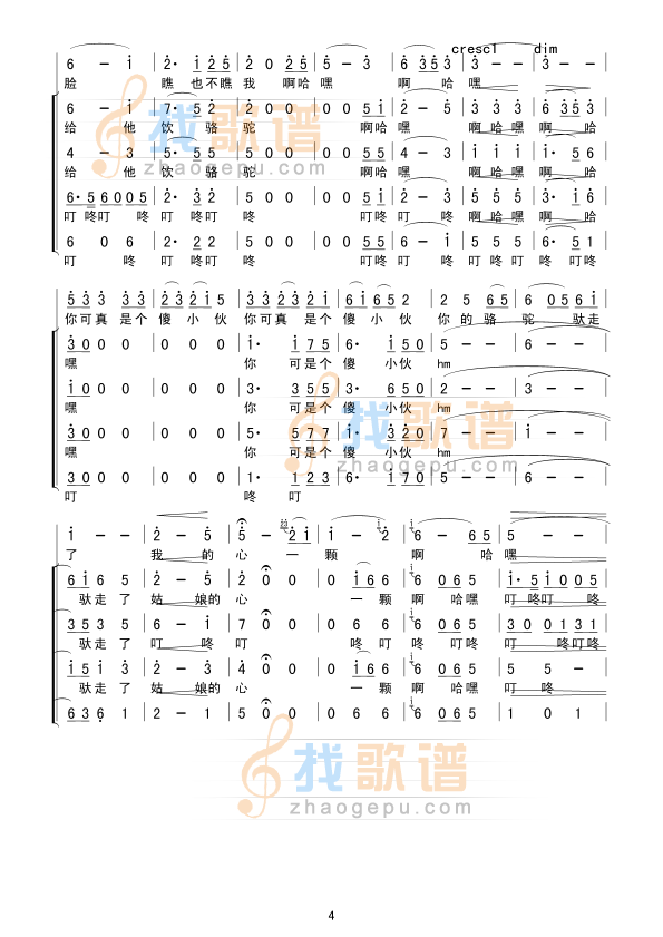 拉骆驼的黑小伙
