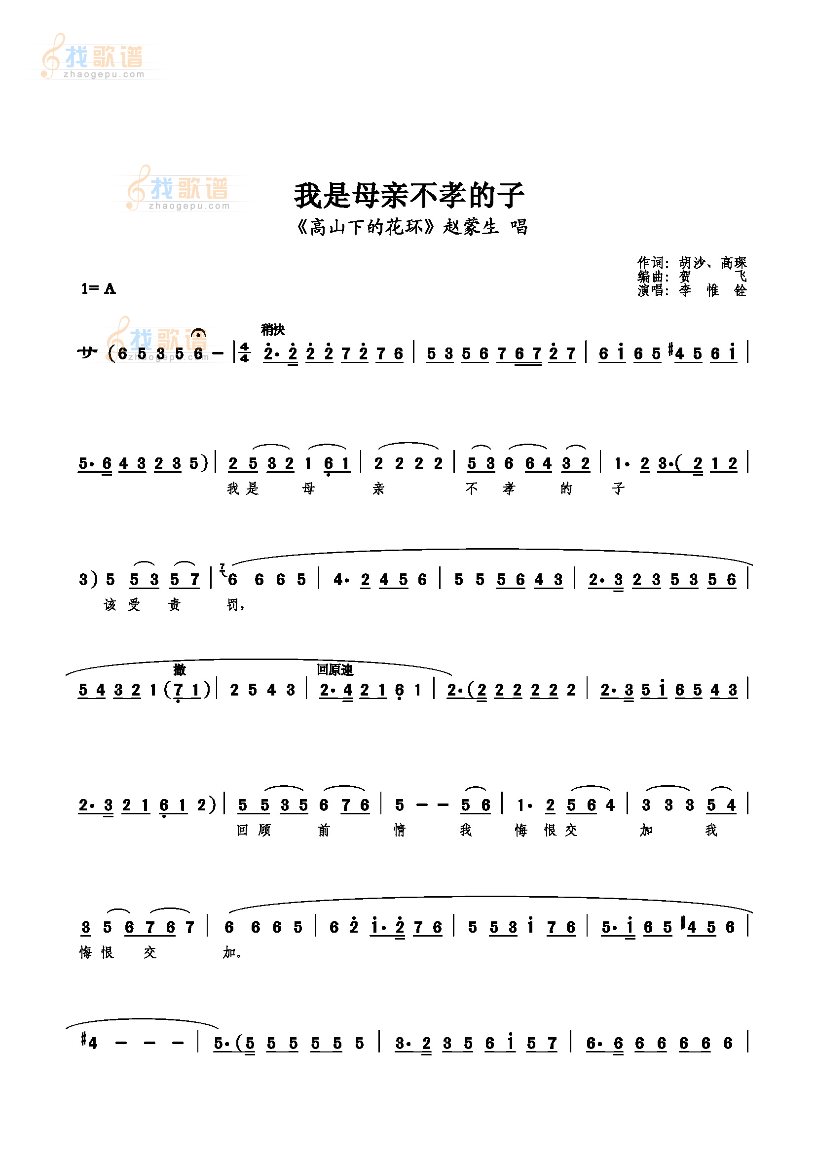 我是母亲不孝的子