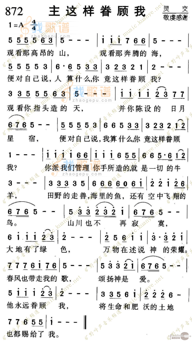 872主这样眷顾我