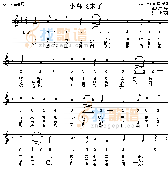 小鸟回来了