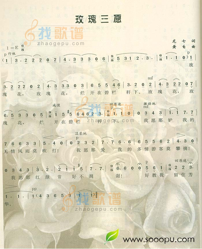 玫瑰三愿