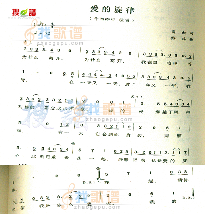 爱的旋律