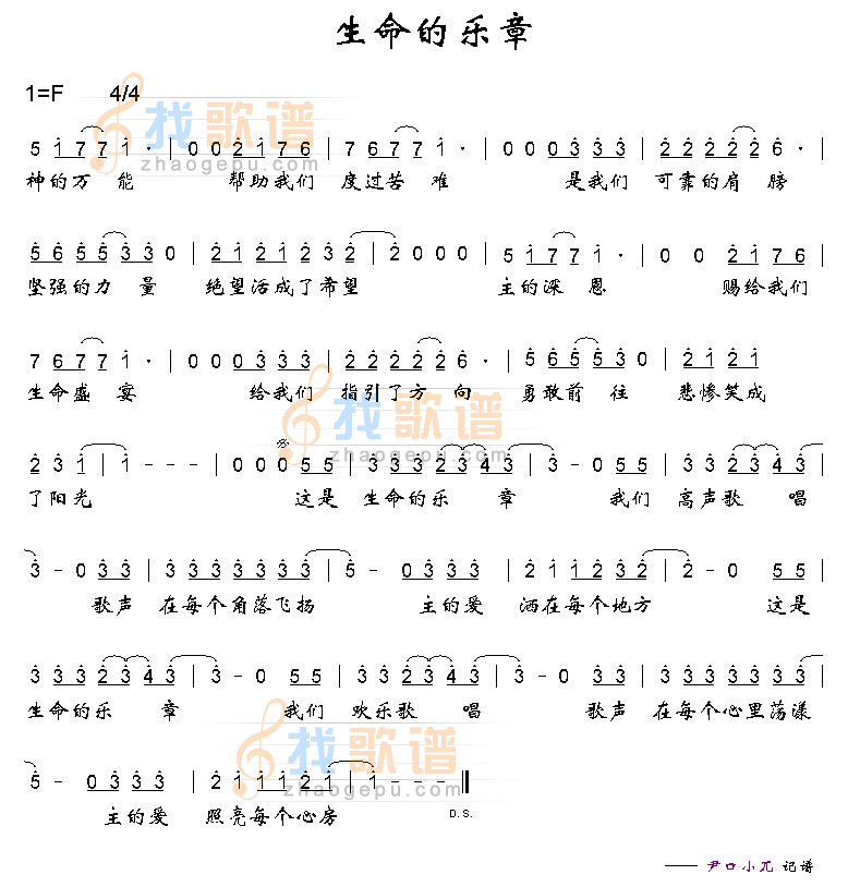 生命的乐章