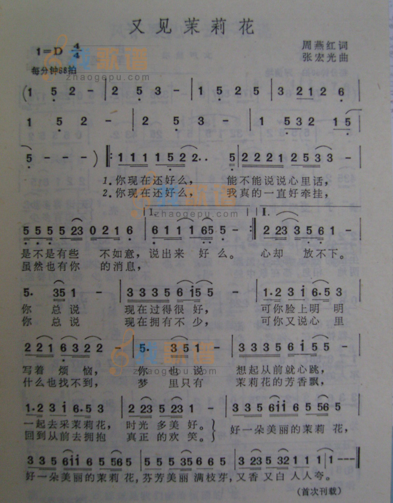 又见茉莉花