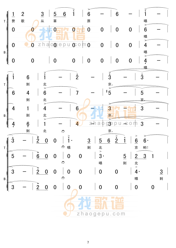 草原上的骏马