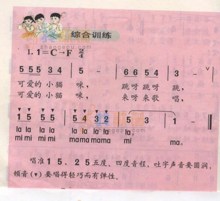 可爱的小猫咪