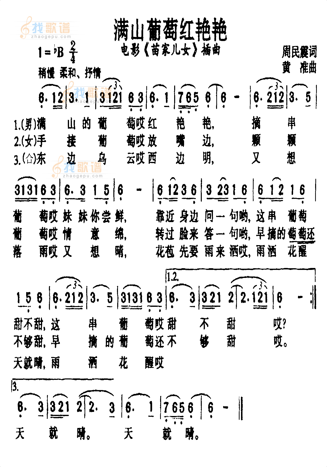 满山的葡萄红艳艳