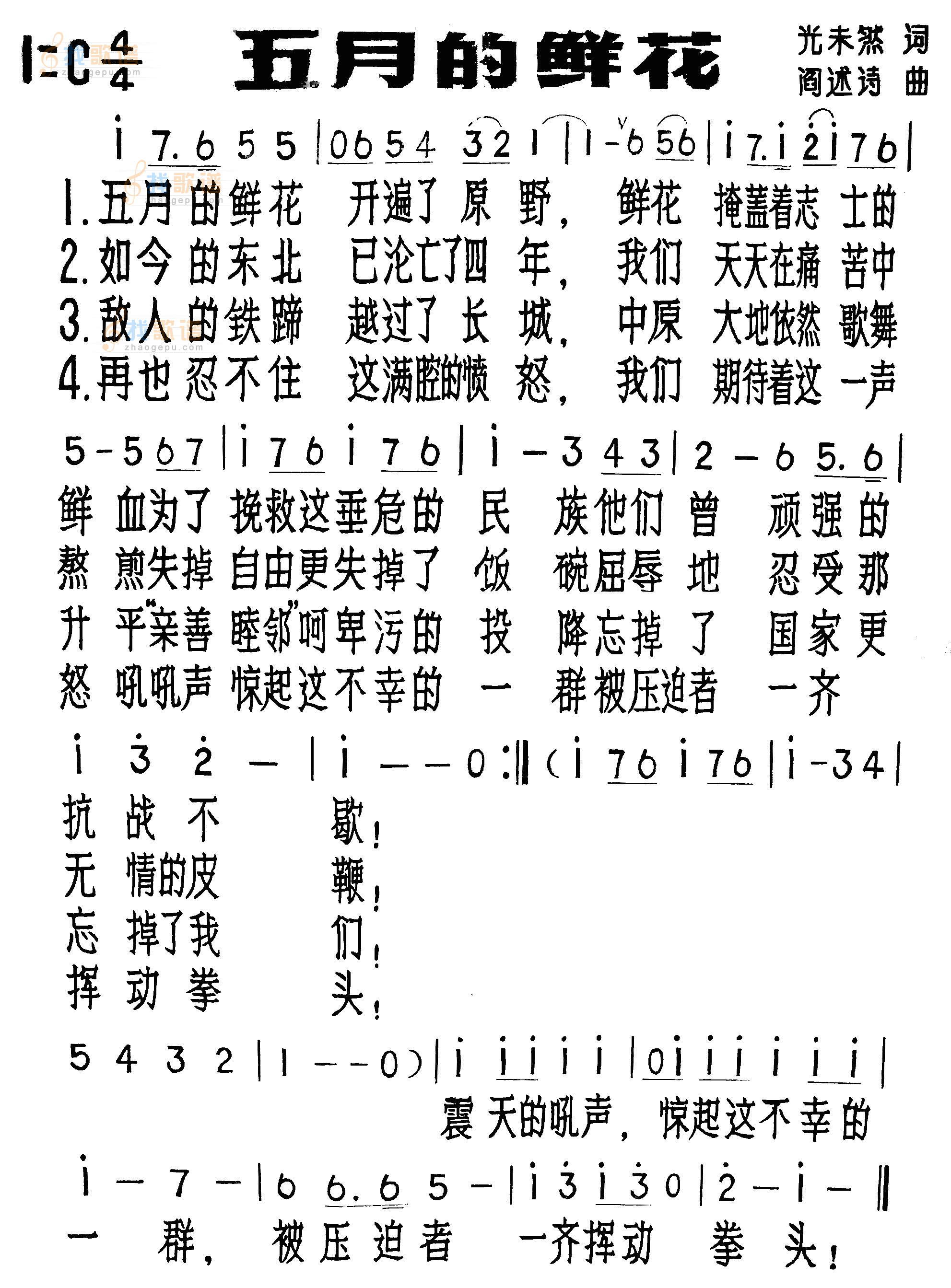 五月的鲜花