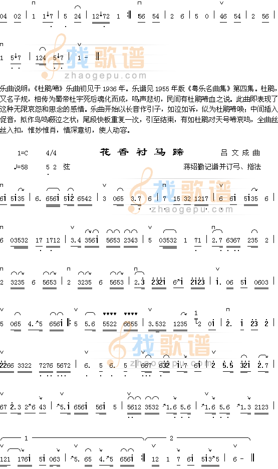 花香衬马蹄