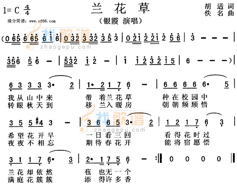 兰花草