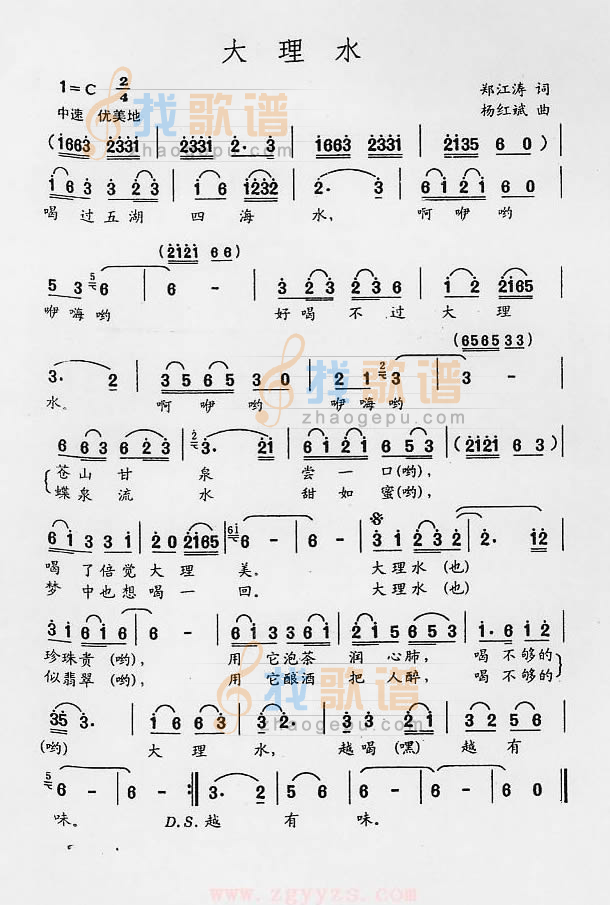 大理水