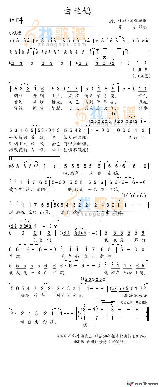 白兰鸽