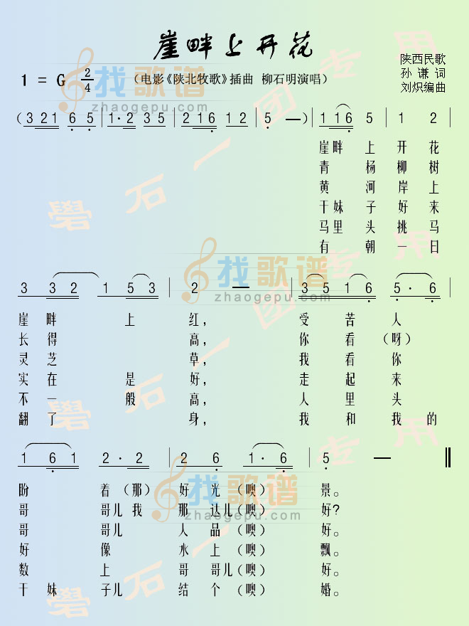 崖畔上开花