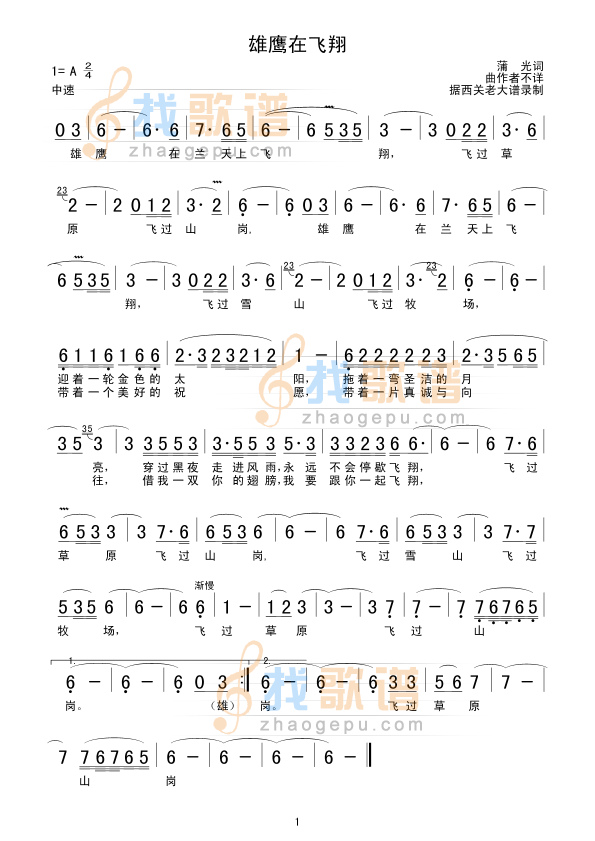 雄鹰在飞翔