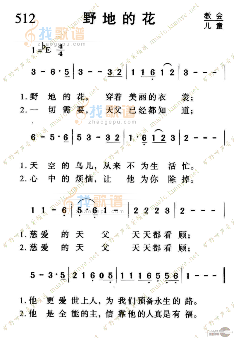 512野地的花