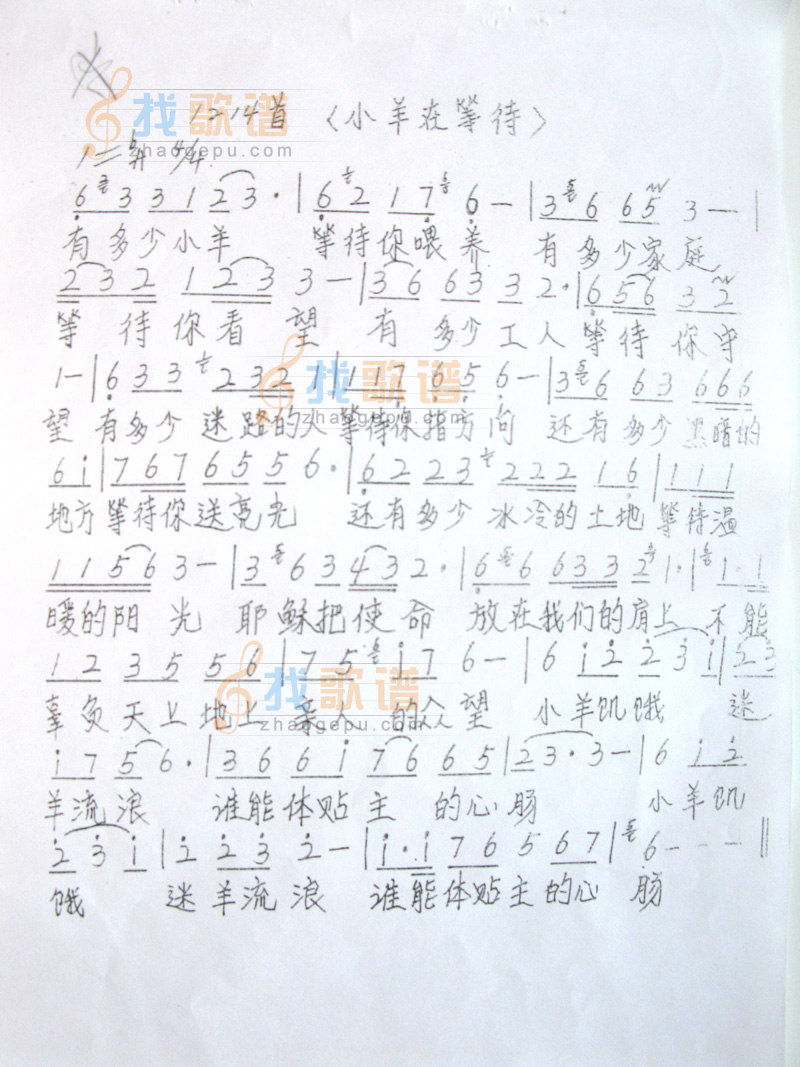 小羊在等待