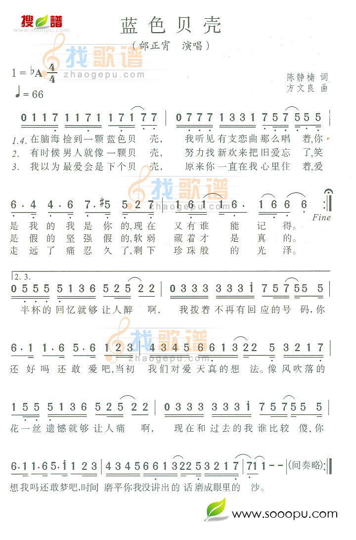蓝色贝壳