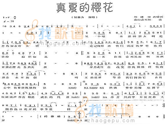 真夏的樱花