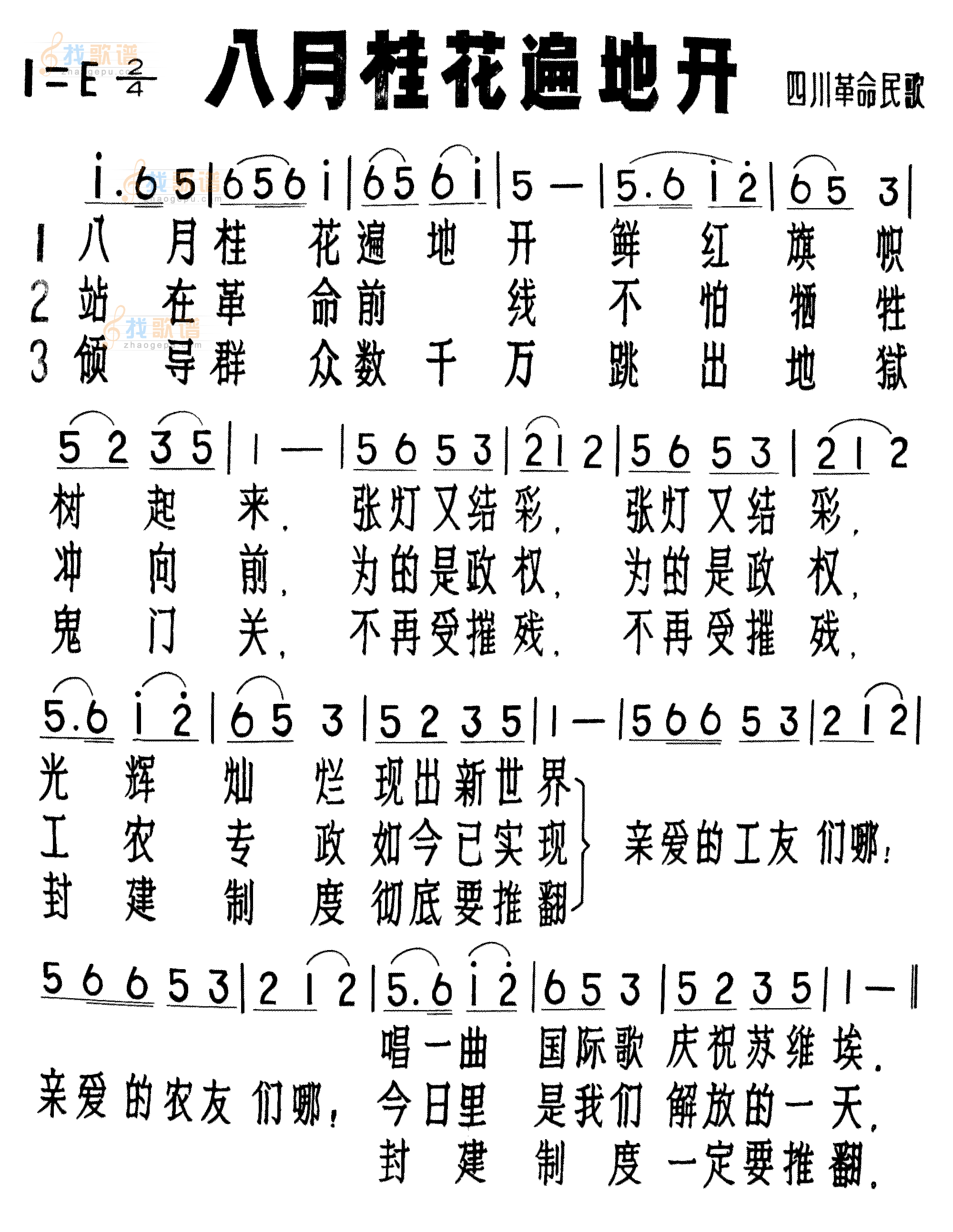 八月桂花遍地开