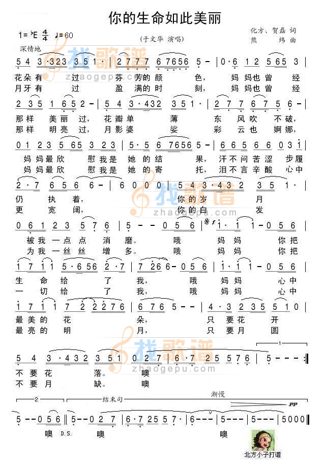 你的生命如此美丽