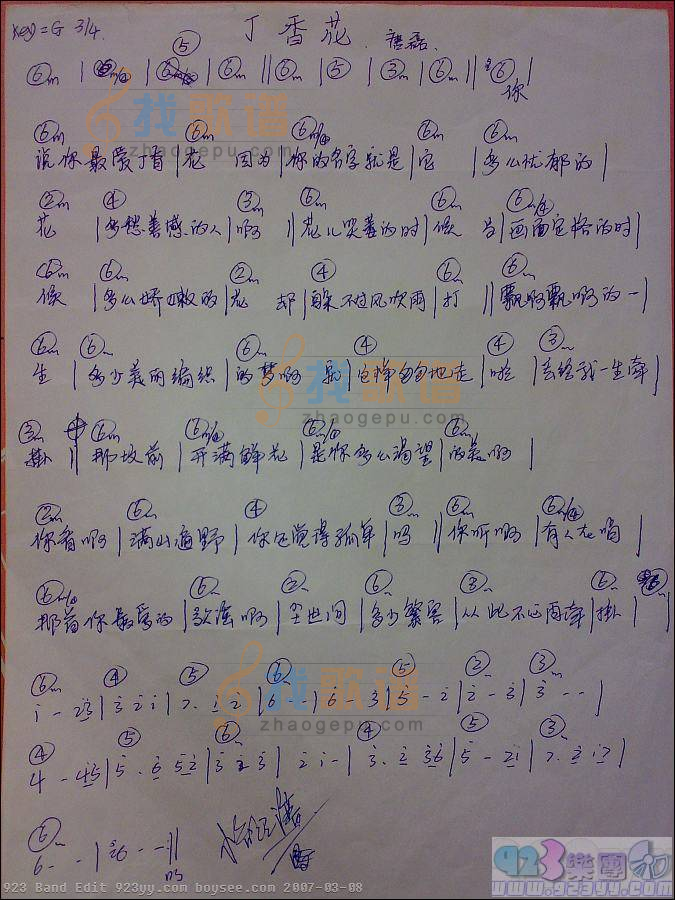 唐磊-丁香花
